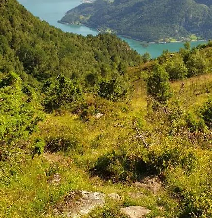Furetoppen Panorama 펜션 *